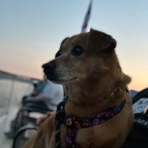 Meet your Posher, Monica